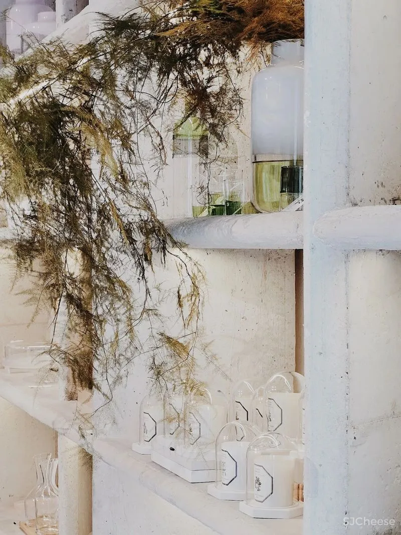 LJ 探店|WS SPACE 無集 |适合约!理想的生活实验场