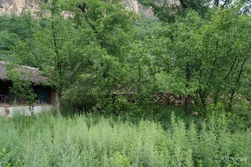 新作 北京延庆私人居所:对比中的和谐 萨洋设计 在场建筑