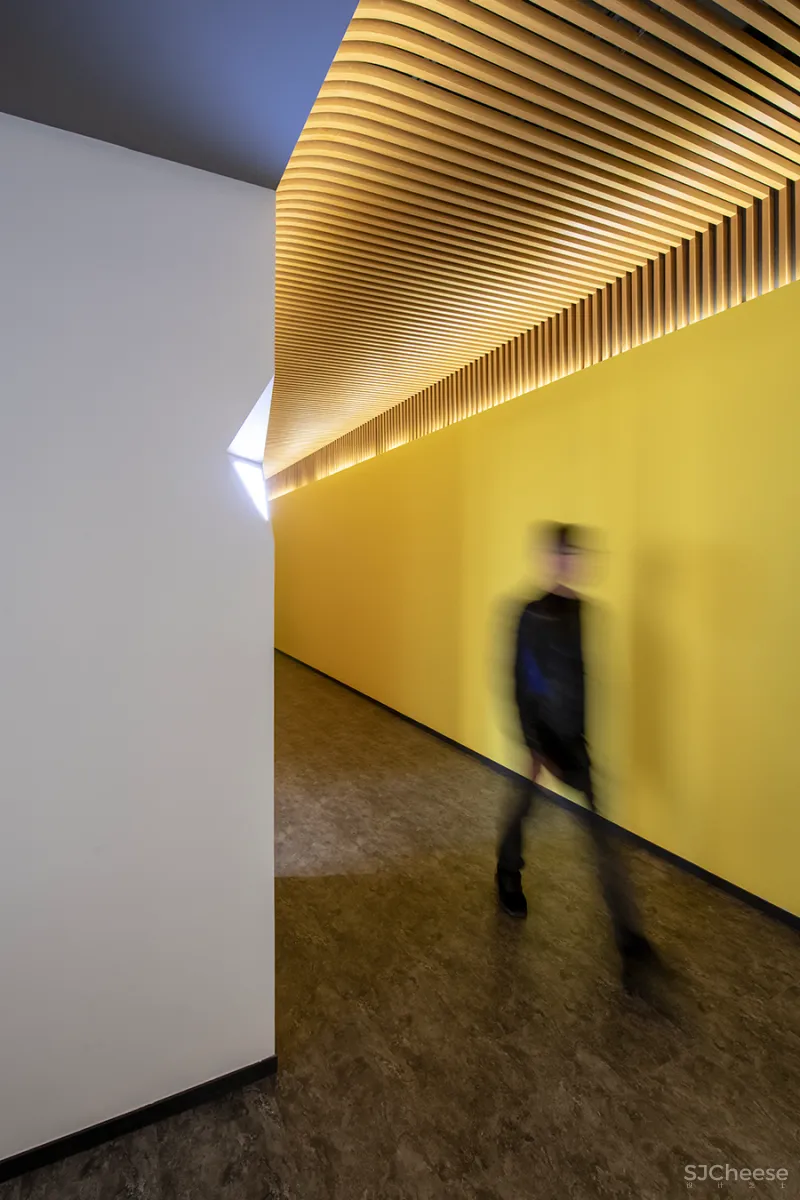 谢天 • 天梯景观|出繁入简,化情与理