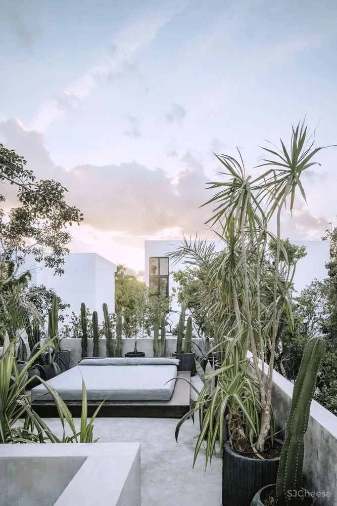 CO LAB 自然系住宅