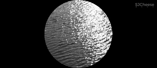 TOMO 東木筑造 食冶日料餐厅,沉浸式海洋情境的超级体验!