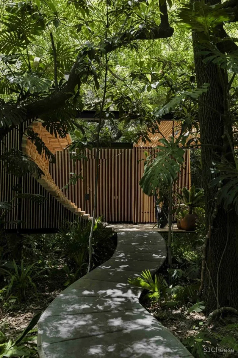 Mauricio Ceballos 墨西哥 融入大自然的林间景观别墅