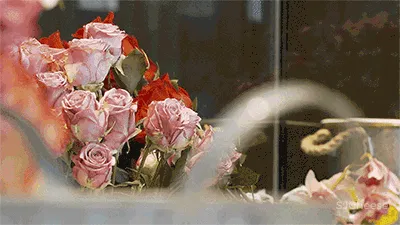 花築光陰|GBD 杜文彪