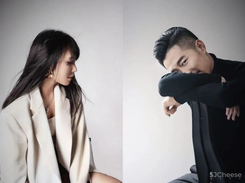 艺筑亦美设计新作 现代优雅 时尚住宅住宅