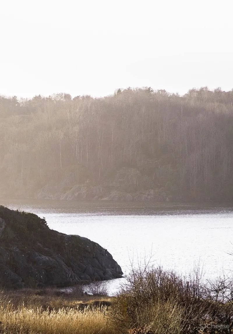 安静的治愈 Norm Architects 15 个顶级设计