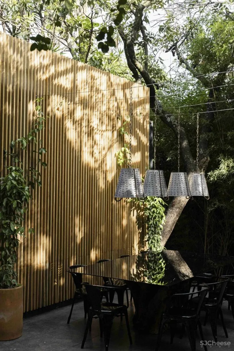 Mauricio Ceballos 墨西哥 融入大自然的林间景观别墅