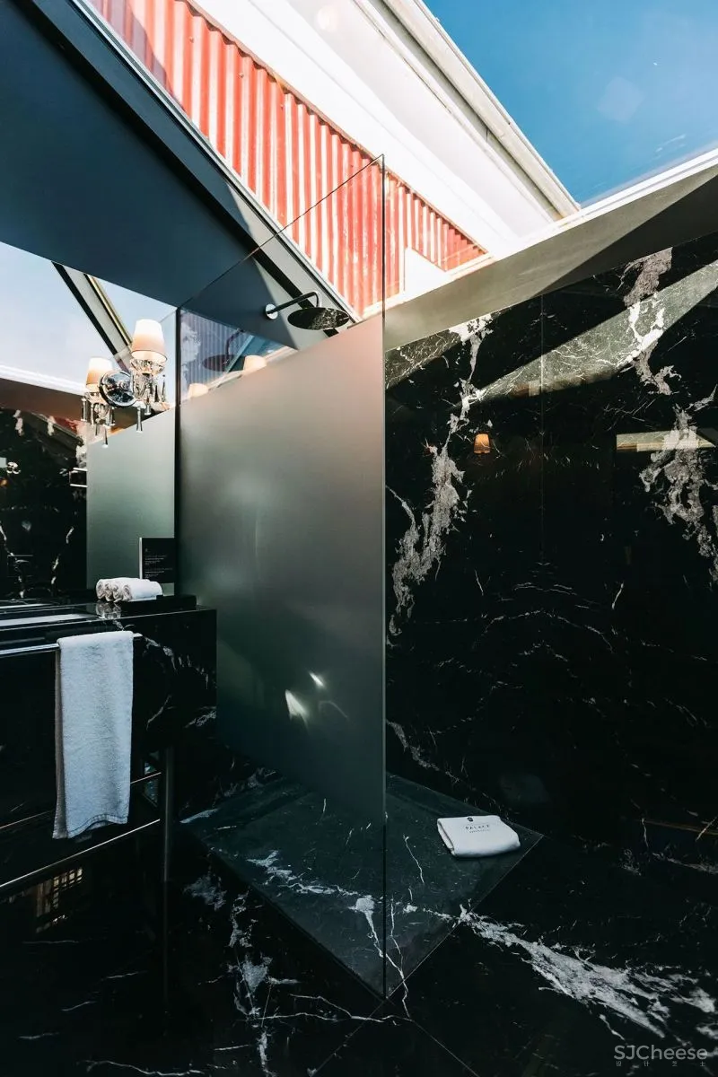 致敬葡萄牙的文学与丰富的复杂性,Torel Palace Hotel