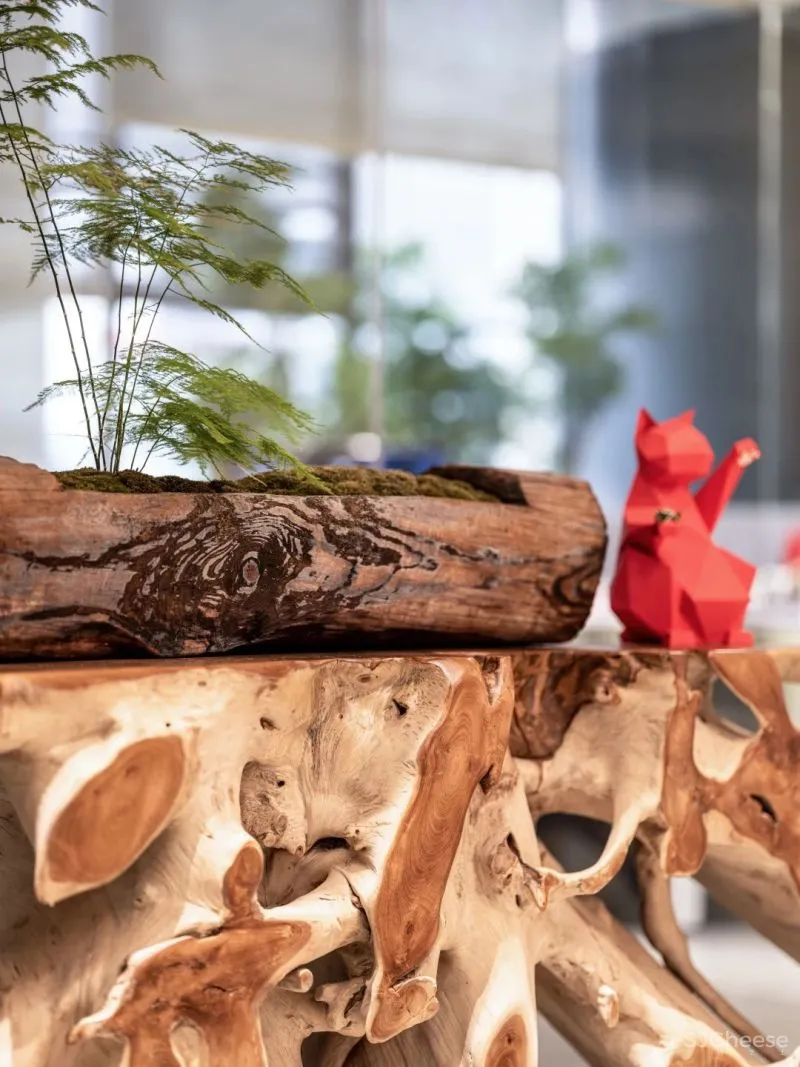 设计公司自己的办公室——为舒适办公而升级