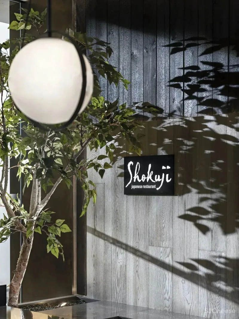 TOMO 東木筑造 食冶日料餐厅,沉浸式海洋情境的超级体验!