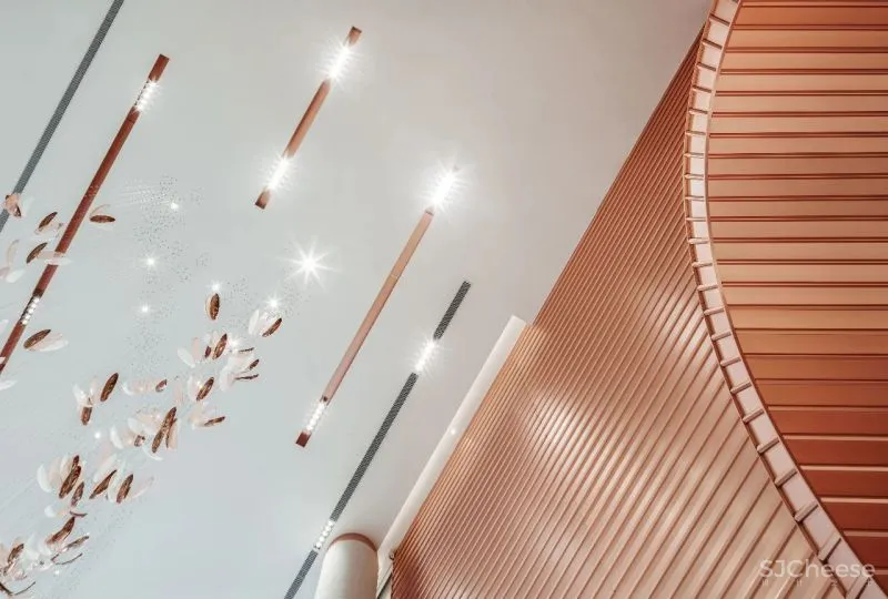 动静结合 规则弧形,交错出先锋时尚感 元禾大千