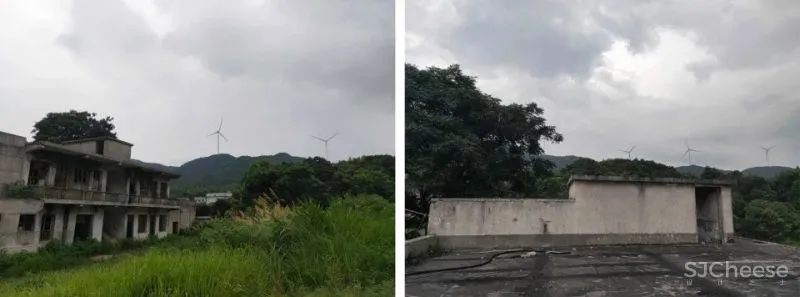 绿野阑珊，晨昏雾霭，一切美好的开始