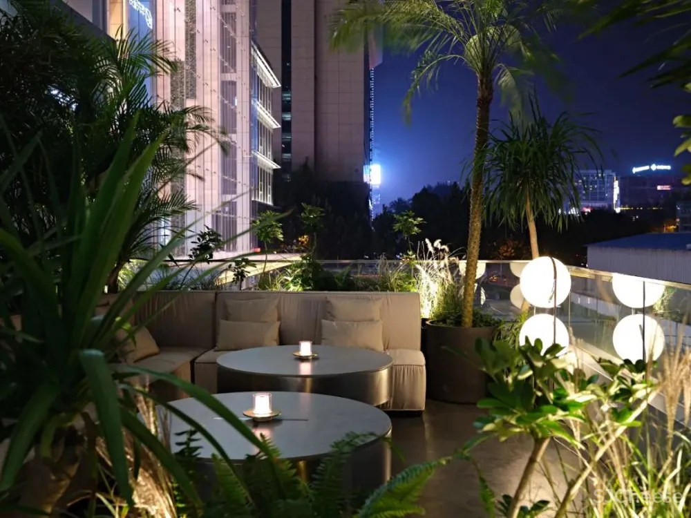 A PHENOMENA ODYSSEY 自然现象多维之旅