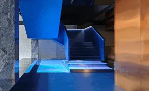 A PHENOMENA ODYSSEY 自然现象多维之旅