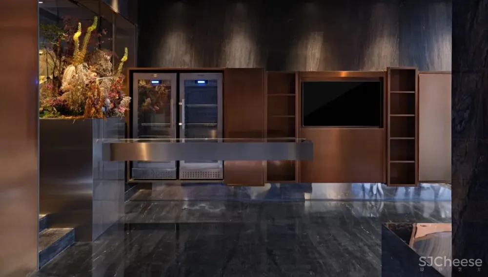 A PHENOMENA ODYSSEY 自然现象多维之旅