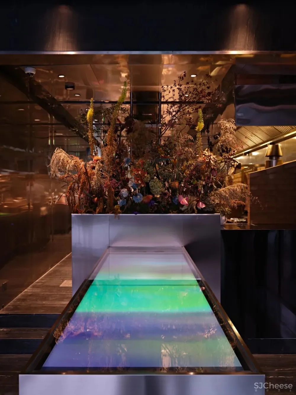 A PHENOMENA ODYSSEY 自然现象多维之旅