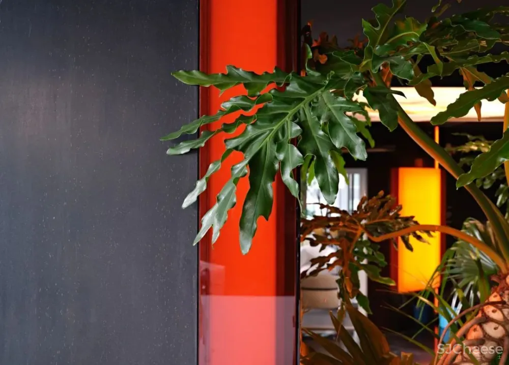 A PHENOMENA ODYSSEY 自然现象多维之旅