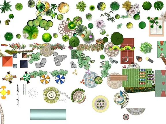 园林景观彩平图-平面PSD素材-小品动植人物白底植物丨2.14G