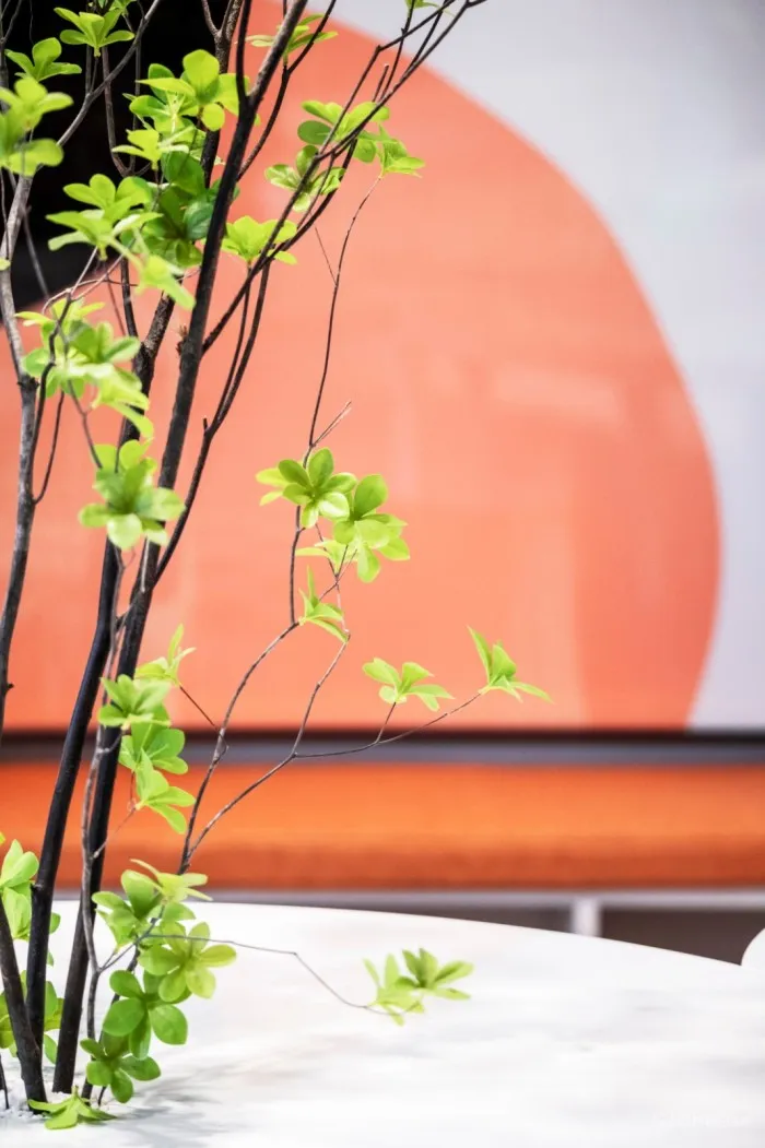 阅读书吧 | 德沐设计