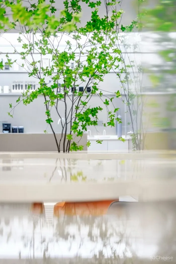 阅读书吧 | 德沐设计