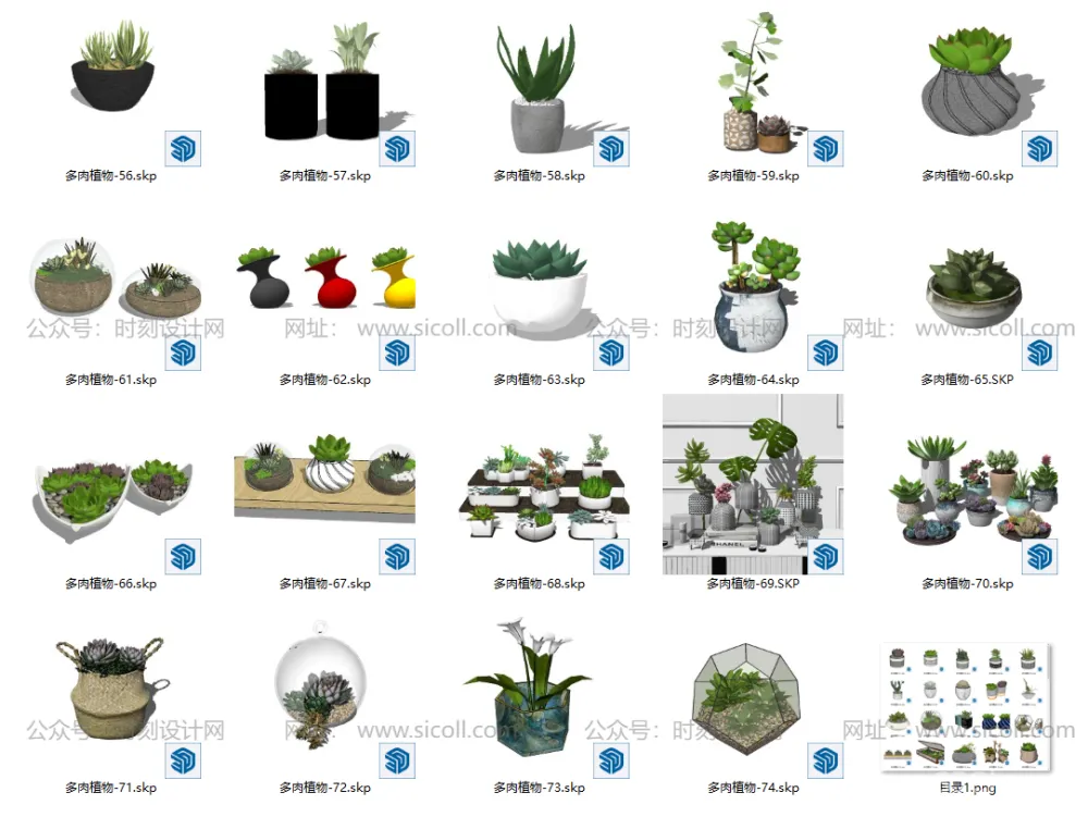 74个多肉植物模型丨绿植盆栽室内多肉水晶球花盆SU模型合集丨SU+JPG丨910MB