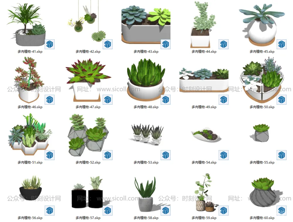 74个多肉植物模型丨绿植盆栽室内多肉水晶球花盆SU模型合集丨SU+JPG丨910MB