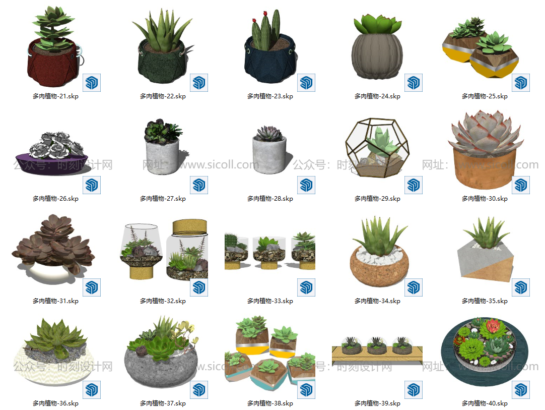 74个多肉植物模型丨绿植盆栽室内多肉水晶球花盆SU模型合集丨SU+JPG丨910MB