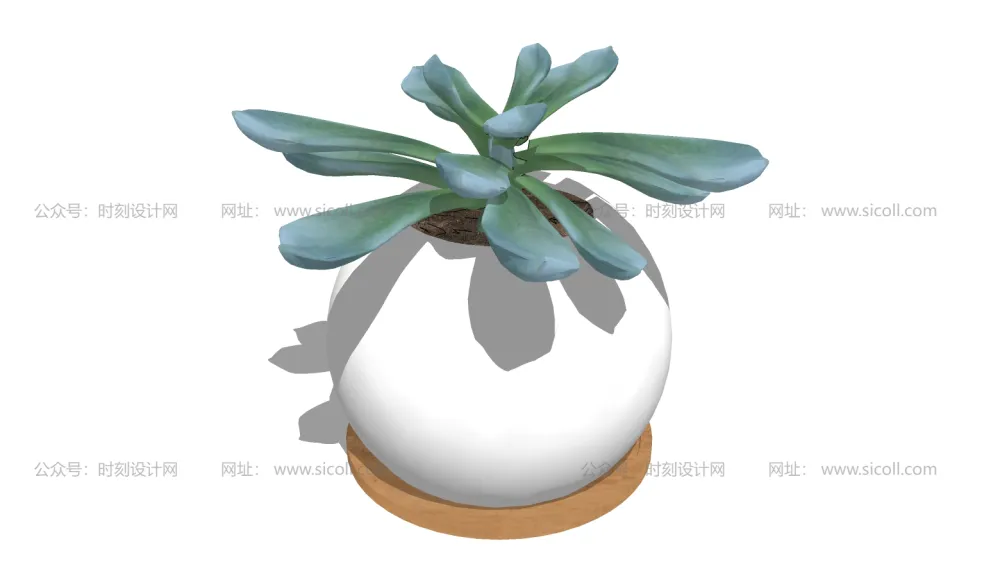 74个多肉植物模型丨绿植盆栽室内多肉水晶球花盆SU模型合集丨SU+JPG丨910MB