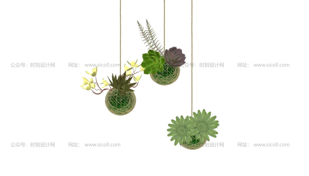 74个多肉植物模型丨绿植盆栽室内多肉水晶球花盆SU模型合集丨SU+JPG丨910MB