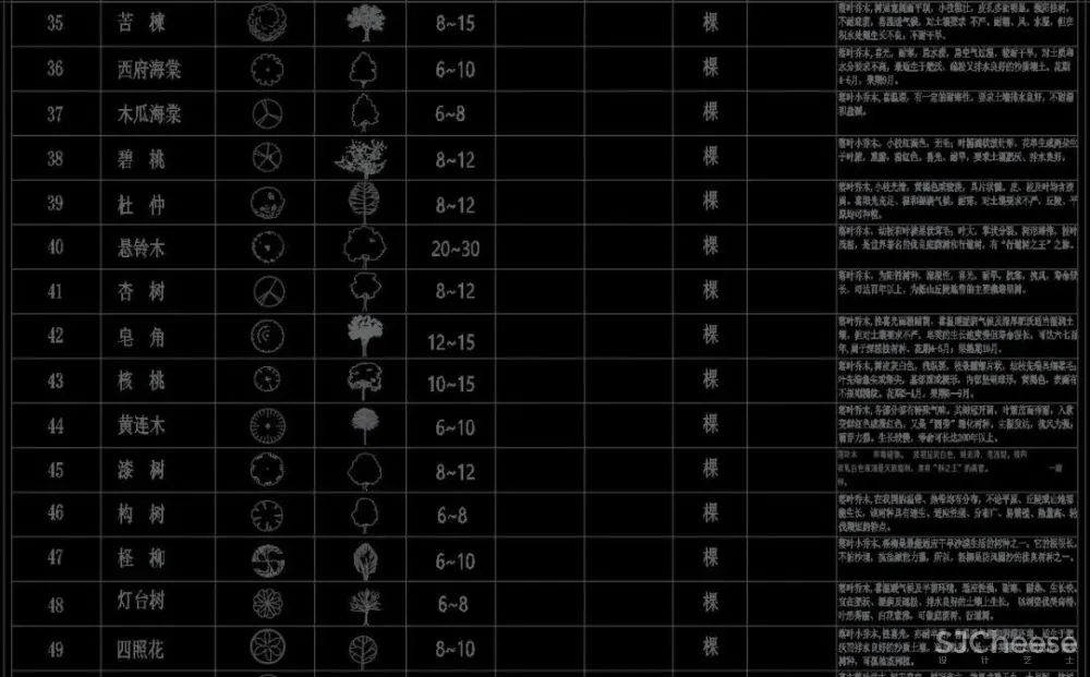 超全超详细植物绿植盆栽苗木平立面CAD图库图块合集丨DWG格式丨68.6M