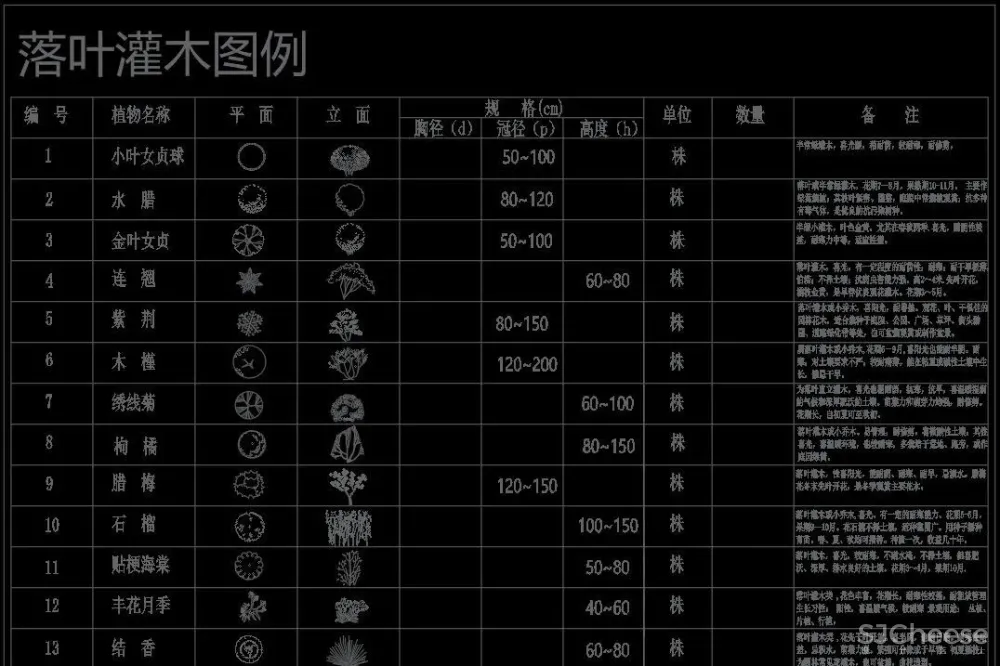 超全超详细植物绿植盆栽苗木平立面CAD图库图块合集丨DWG格式丨68.6M