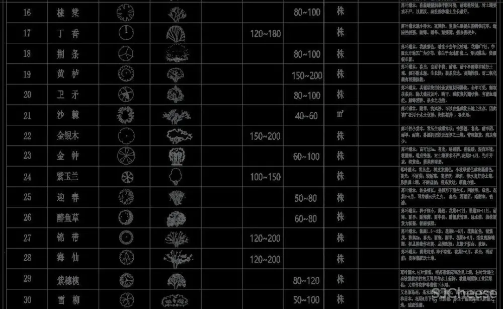 超全超详细植物绿植盆栽苗木平立面CAD图库图块合集丨DWG格式丨68.6M