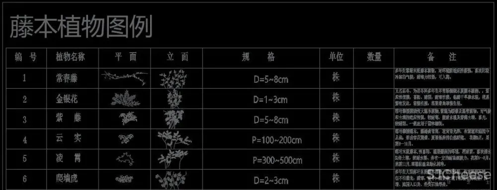 超全超详细植物绿植盆栽苗木平立面CAD图库图块合集丨DWG格式丨68.6M