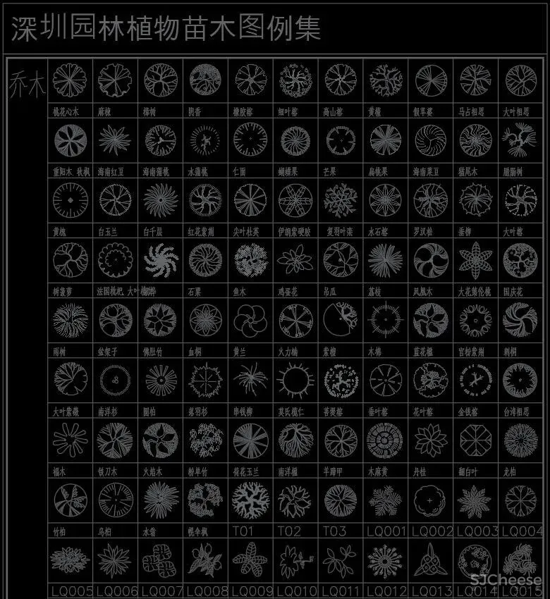 超全超详细植物绿植盆栽苗木平立面CAD图库图块合集丨DWG格式丨68.6M