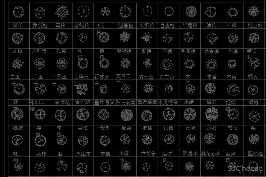 超全超详细植物绿植盆栽苗木平立面CAD图库图块合集丨DWG格式丨68.6M