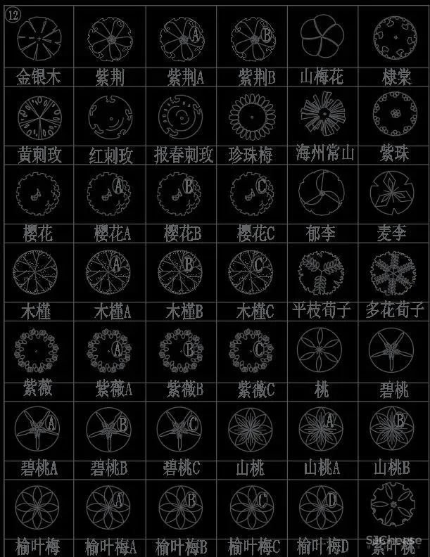 超全超详细植物绿植盆栽苗木平立面CAD图库图块合集丨DWG格式丨68.6M