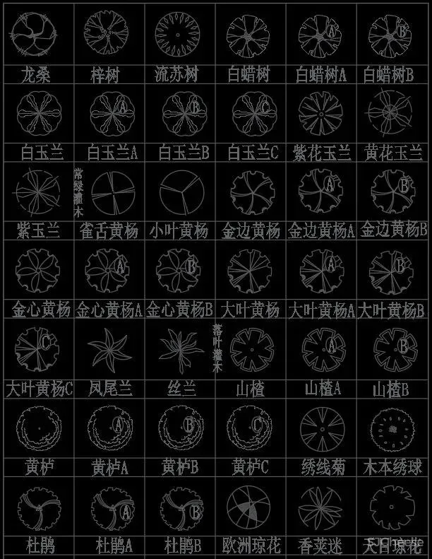 超全超详细植物绿植盆栽苗木平立面CAD图库图块合集丨DWG格式丨68.6M