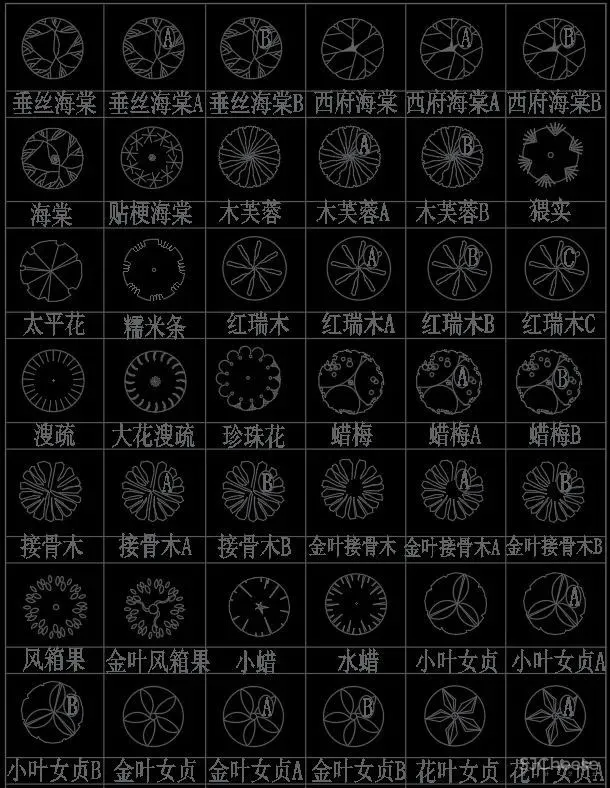 超全超详细植物绿植盆栽苗木平立面CAD图库图块合集丨DWG格式丨68.6M