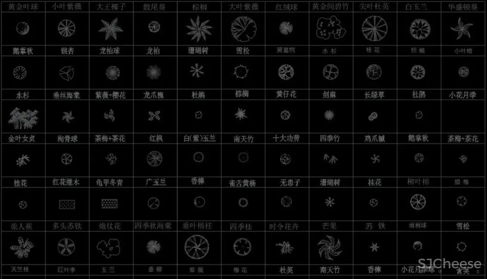 超全超详细植物绿植盆栽苗木平立面CAD图库图块合集丨DWG格式丨68.6M