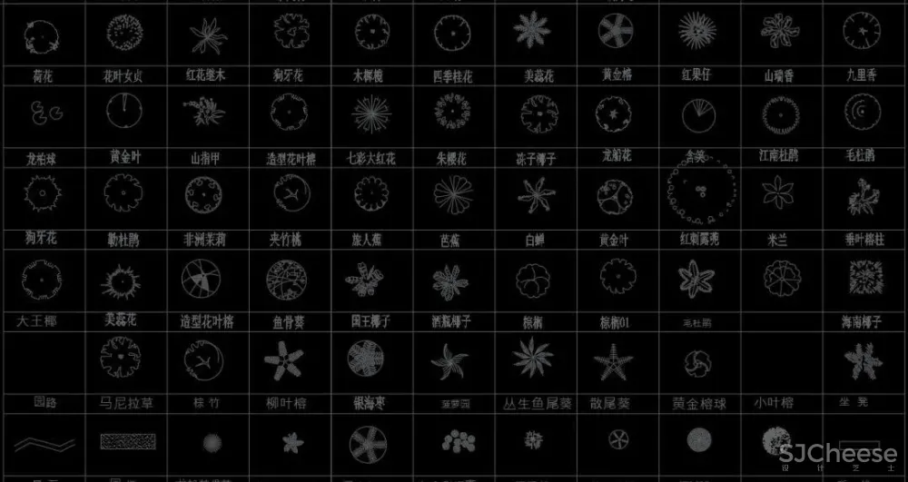 超全超详细植物绿植盆栽苗木平立面CAD图库图块合集丨DWG格式丨68.6M