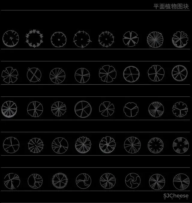 超全超详细植物绿植盆栽苗木平立面CAD图库图块合集丨DWG格式丨68.6M