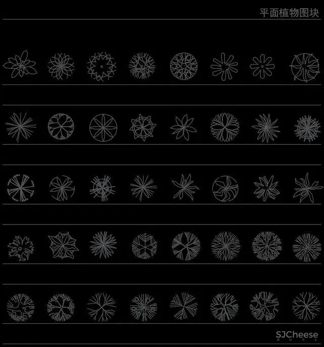超全超详细植物绿植盆栽苗木平立面CAD图库图块合集丨DWG格式丨68.6M