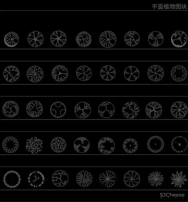 超全超详细植物绿植盆栽苗木平立面CAD图库图块合集丨DWG格式丨68.6M