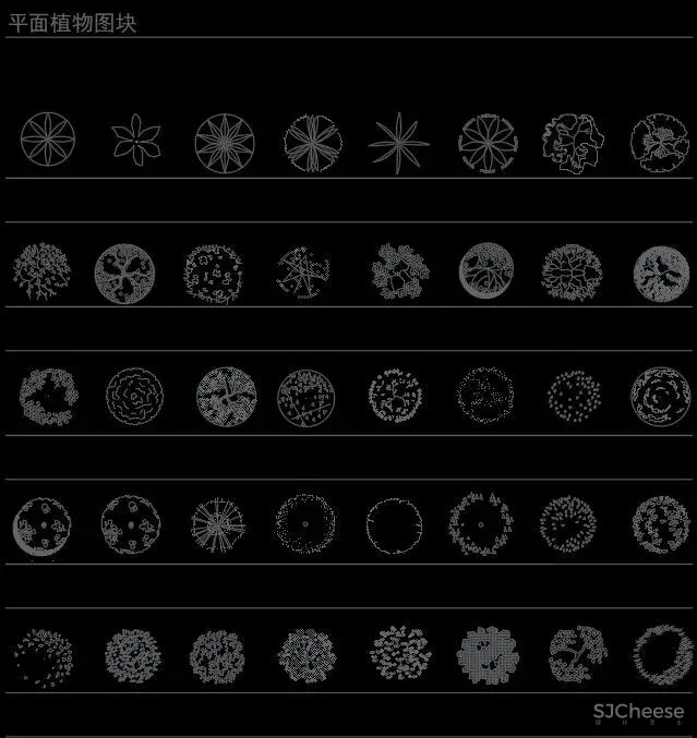超全超详细植物绿植盆栽苗木平立面CAD图库图块合集丨DWG格式丨68.6M