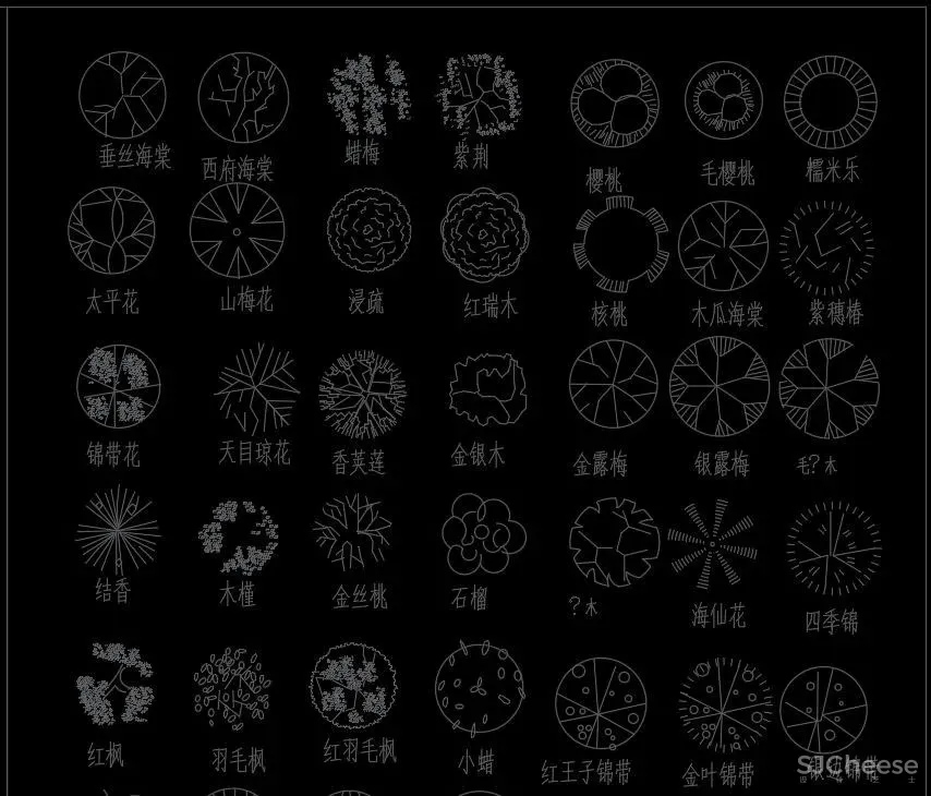 超全超详细植物绿植盆栽苗木平立面CAD图库图块合集丨DWG格式丨68.6M