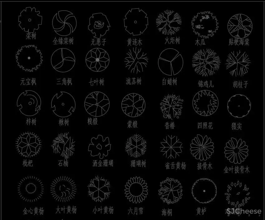 超全超详细植物绿植盆栽苗木平立面CAD图库图块合集丨DWG格式丨68.6M
