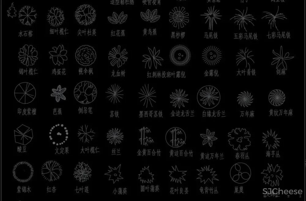 超全超详细植物绿植盆栽苗木平立面CAD图库图块合集丨DWG格式丨68.6M