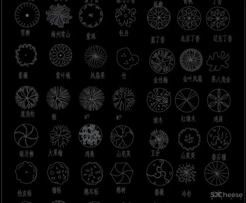 超全超详细植物绿植盆栽苗木平立面CAD图库图块合集丨DWG格式丨68.6M