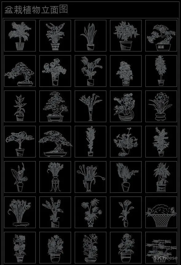 超全超详细植物绿植盆栽苗木平立面CAD图库图块合集丨DWG格式丨68.6M