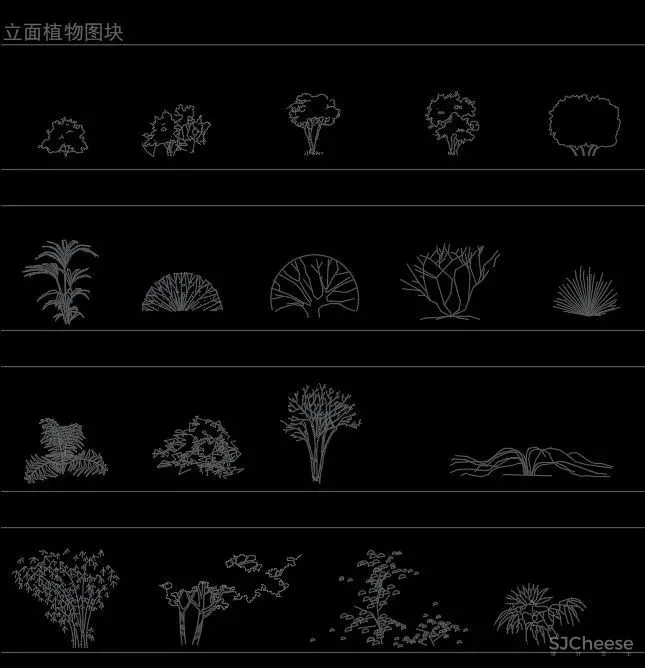 超全超详细植物绿植盆栽苗木平立面CAD图库图块合集丨DWG格式丨68.6M
