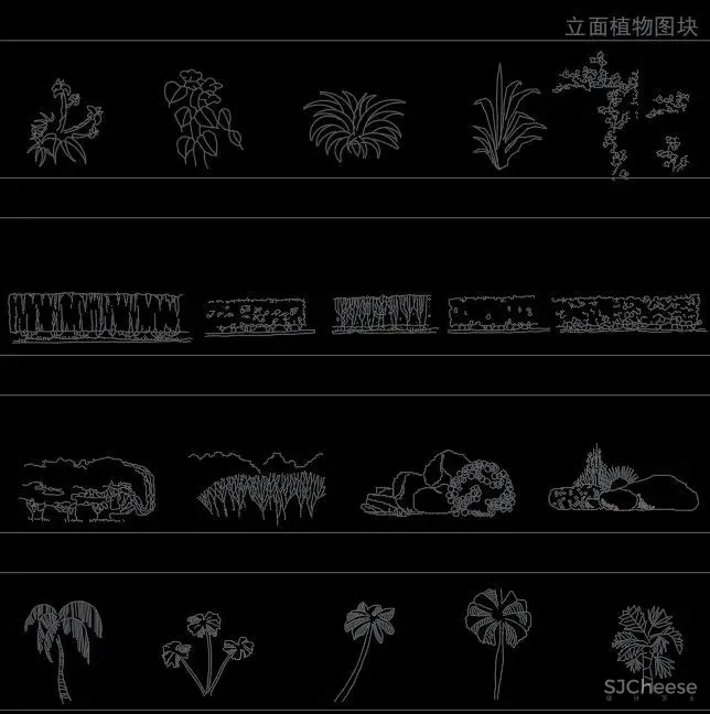 超全超详细植物绿植盆栽苗木平立面CAD图库图块合集丨DWG格式丨68.6M